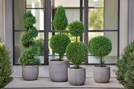 Artificial Plants for Businesses: Boosting Aesthetics in Offices, Restaurants & More