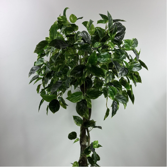 What are the best artificial plants for home decor?