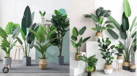 How to Clean and Maintain Artificial Plants