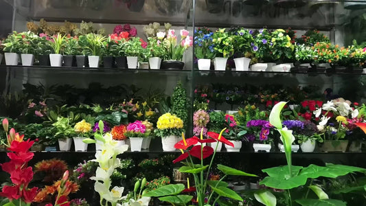 Can artificial silk plants be used outdoors?