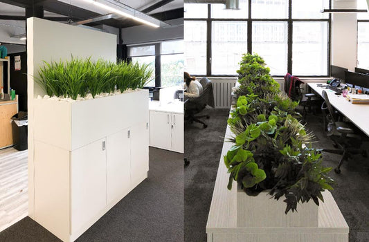 Benefits of Artificial Plants for Office Spaces