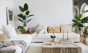 Why Artificial Plants Are Perfect for Modern Living Spaces
