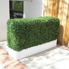 Artificial Boxwood Hedges: Privacy, Style, and Year-Round Greenery