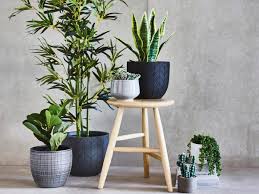 Are Artificial Plants Eco-Friendly? Myths vs Facts