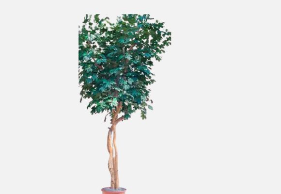 Artificial Trees and Silk Trees for Indoor and Outdoor