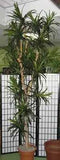 10 Foot Artificial Silk Dragon Tree Custom Made on Natural Wood Silk Plants Canada.