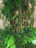 12 Foot Artificial Silk Ming Aralia Tree Custom Made on Natural Wood - Silk Plants Canada