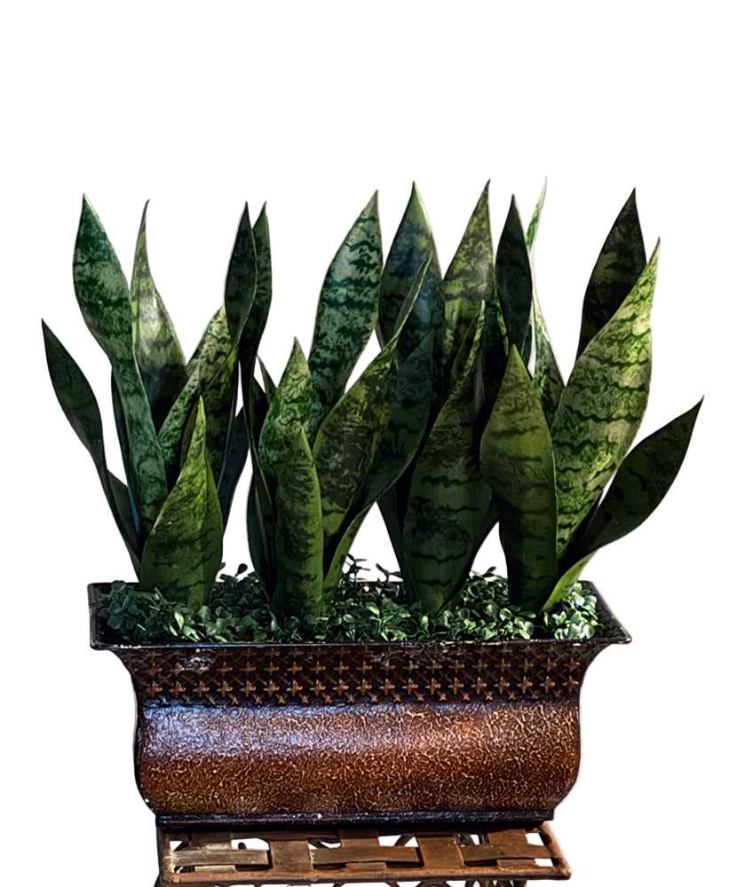 15 inch artificial snake plant with variegated PVC leaves in rectangular copper planter
