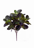 16.5 inch Peperomia For Home or Office or Indoor or Outdoor Silk Plants Canada