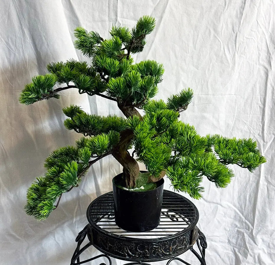 21 inch Artificial PVC Bonsai Pine in Black Container Back Side Silk Plants Canada