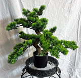 21 inch Artificial PVC Bonsai Pine in Black Container