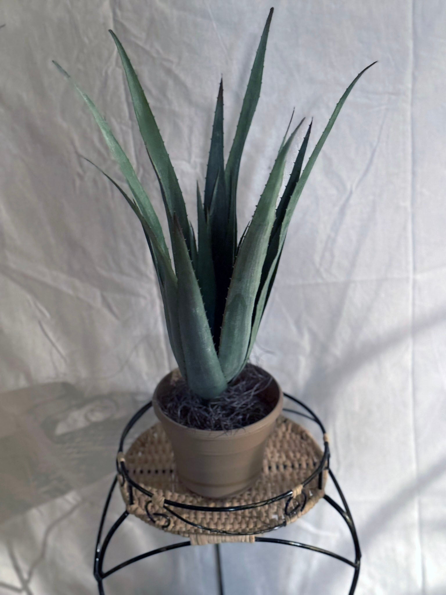 22 inch Aloe Vera Plant PVC for Home or Office Potted Silk Plants Canada