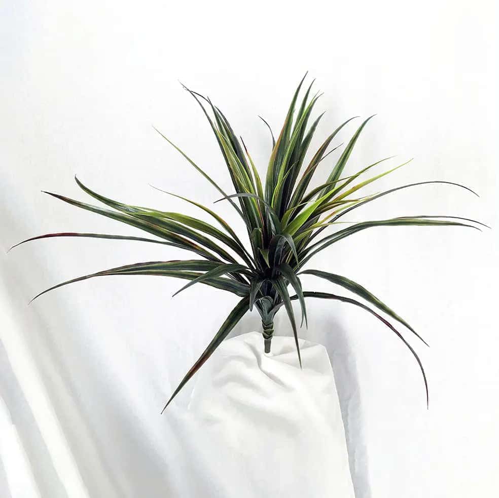 24" Artificial PVC Yucca Plant (Dragon Plant) | Faux Desert-Inspired Indoor & Outdoor Décor