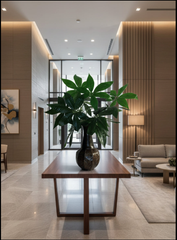 26  inch money tree arranged in a condo entrance