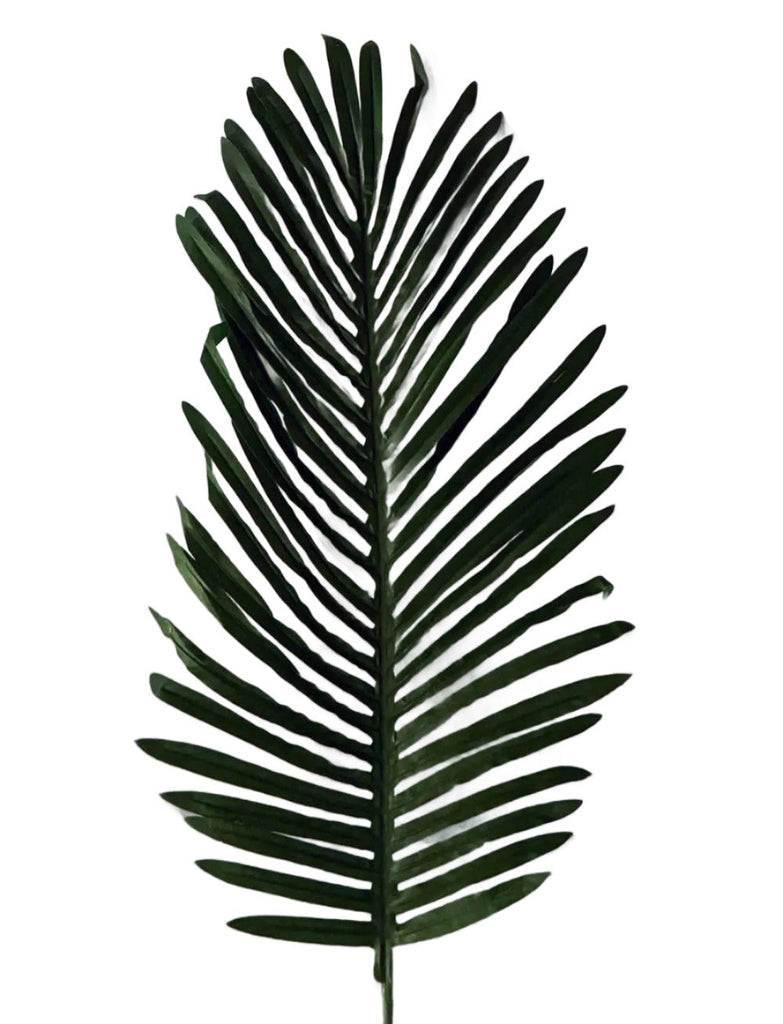 areca palm canada Artificial Areca Palm Frond – 27 Inch PVC Leaves (12 Pack)