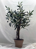 28 inch Artificial Mini Olive Tree w Black and Green Olives