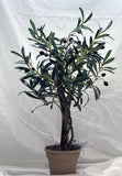 28-inch-Artificial-Mini-Olive-Tree-w-Black-and-Green-Olives-Silk-Plants-Canada-61437113