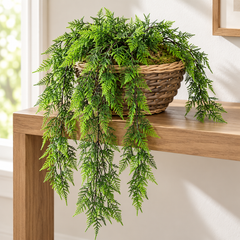 28 Inch Artificial PVC Pinus Plumosa Trailing Vine styled in 12 Inch Wicker Basket—container sold separately