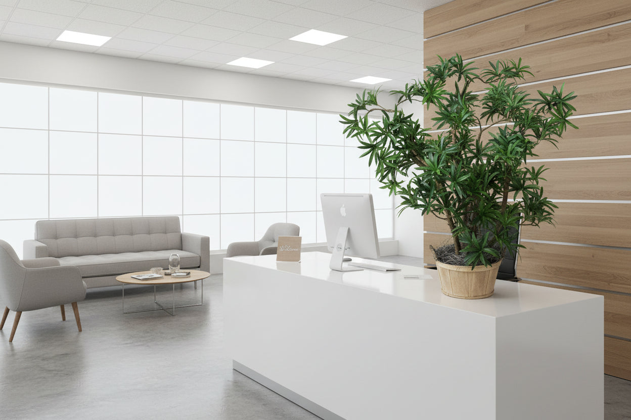 28 inch artificial silk pittosporum plant on natural wood in a office setting