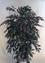 3 Foot Artificial Silk Smilax Tree on Natural Wood w grn,bgdy,brn lvs Silk Plants Canada