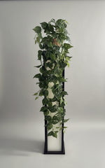 Place the 48  inch Artificial Silk Pothos Golden Ivy trailing