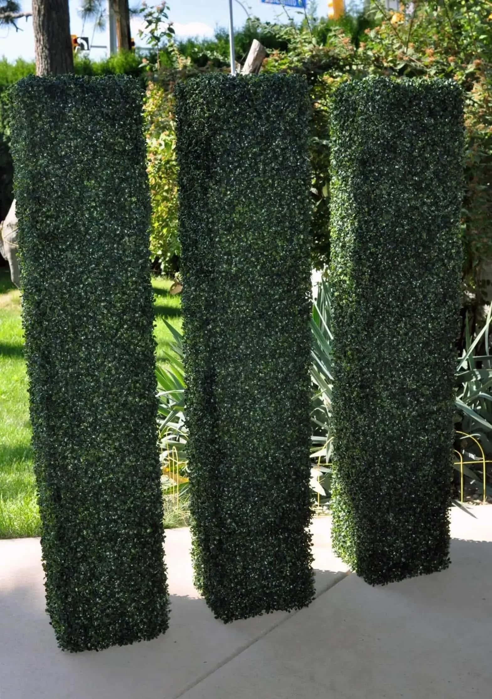 Hedge Column Artificial Silk Plants, Trees, Palms, Boxwood Hedges in Canada