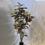 5 Foot Artificial Silk Croton Plant | Silk Plants Canada