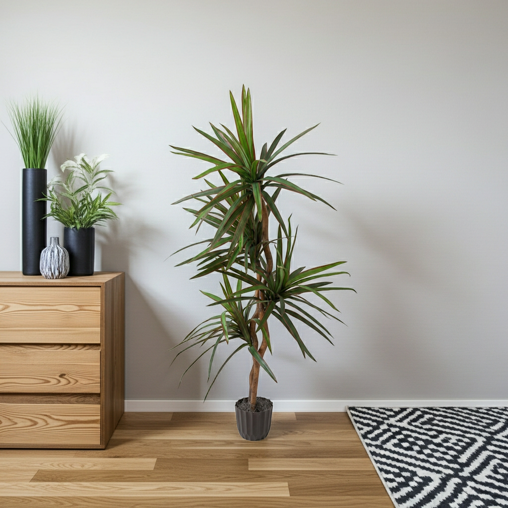 5 Foot Artificial Dragon Tree Displayed in a Modern Living Room