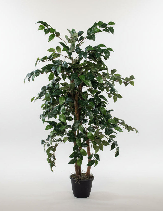 54 inch Artificial Silk Camellia Tree Custom Made on Natural Wood for Home or Office