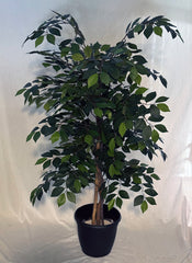 52 inch Sakaki Tree Custom Made on Natural Wood for Home or Office Silk Plants Canada