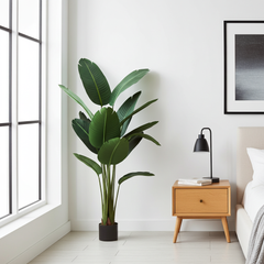 5 foot artificial silk traveler palm in bedroom setting