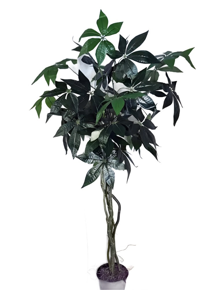 64 inch Artificial Silk Pachira aka Money Tree Made on Wood Silk