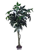 64" Artificial Silk Pachira or Money Tree Custom Made on Natural Wood Silk Plants Canada