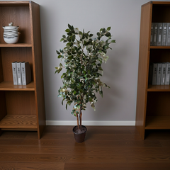 6 foot artificial silk camellia tree on natural wood nestled in between 2 book shelves.
