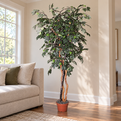 7 Foot Artificial Silk Canadian Maple Tree on Natural Wood in a living room, displayed in its original grower's container.