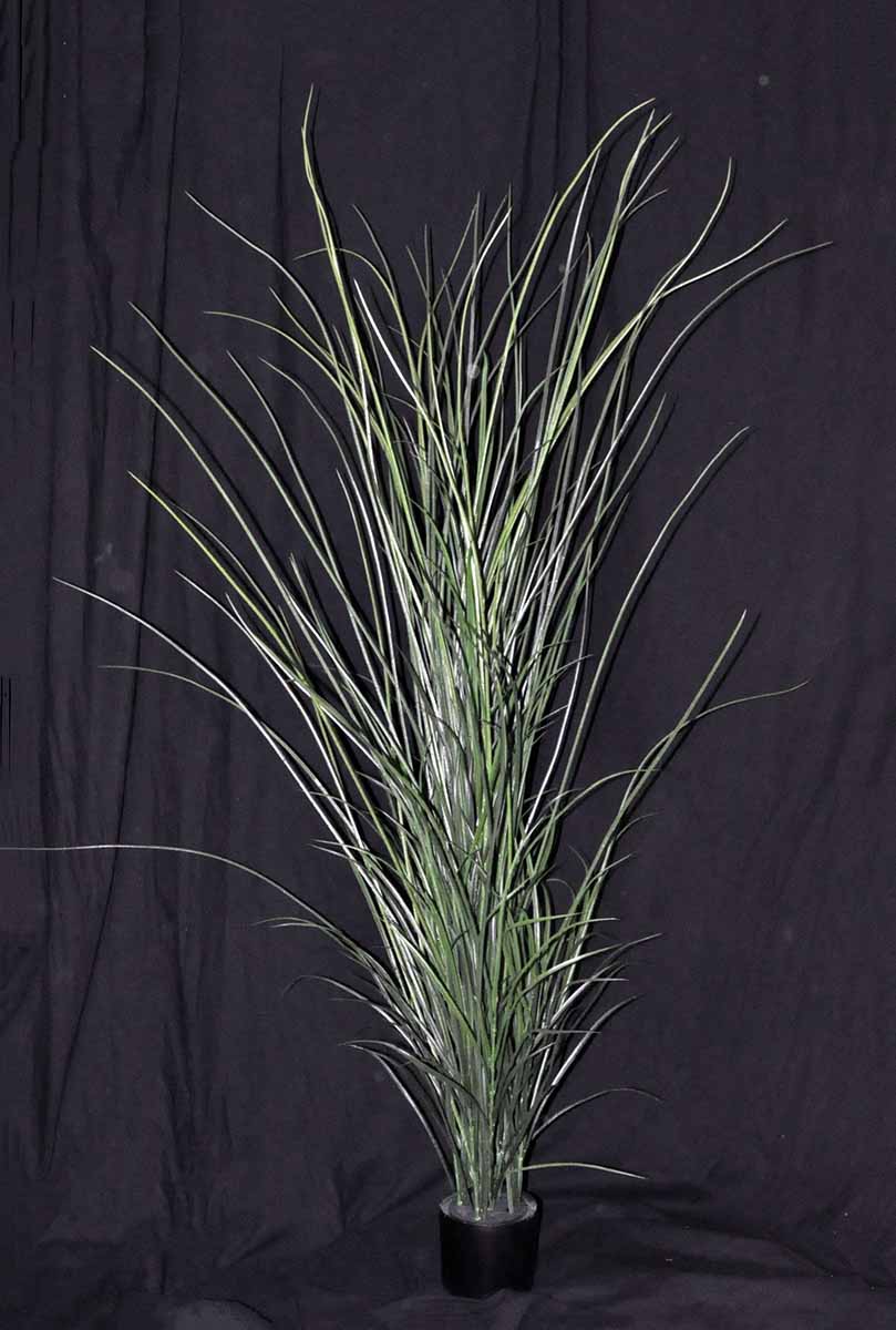 71 inch Artificial PVC Grass Plant in a black container 