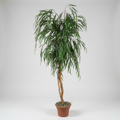 72 Inch Artificial Silk Weeping Willow Tree on Natural Wood