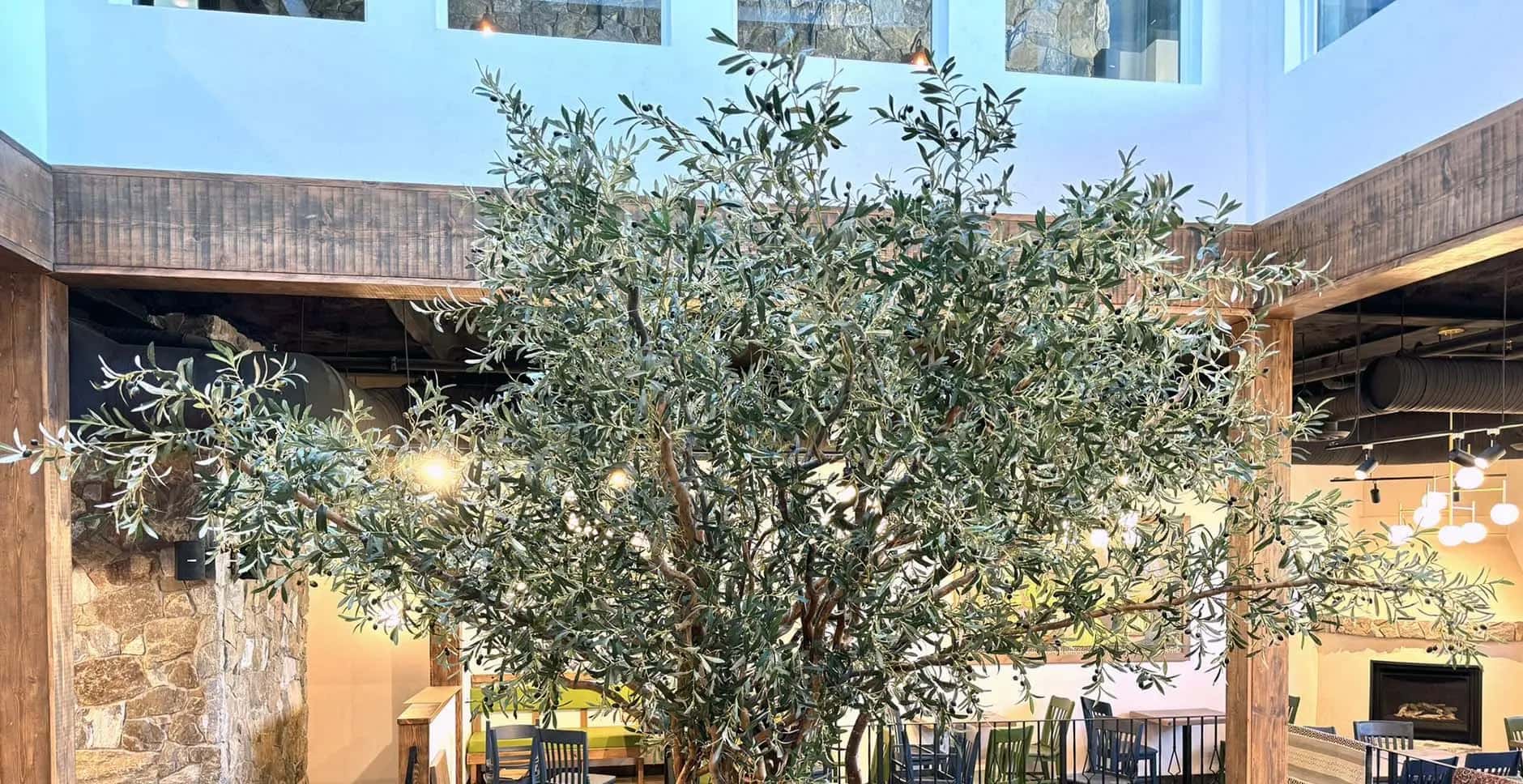 80 inch Artificial Silk Olive Tree Custom Made on Natural Wood Silk Plants Canada