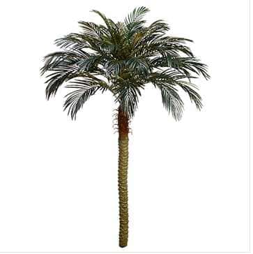 83 inch Artificial Silk Phoenix Palm Tree for Indoor and Outdoor - Silk Plants Canada