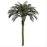 83 inch Artificial Silk Phoenix Palm Tree for Indoor and Outdoor - Silk Plants Canada