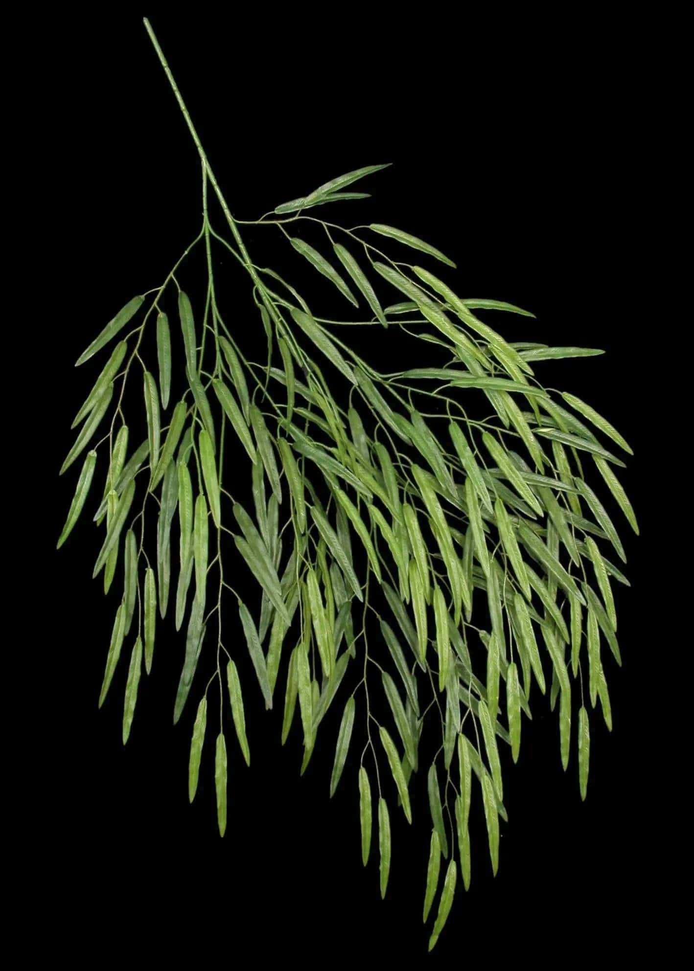 Artificial Silk Weeping Willow Branch Deluxe (Set of 12)