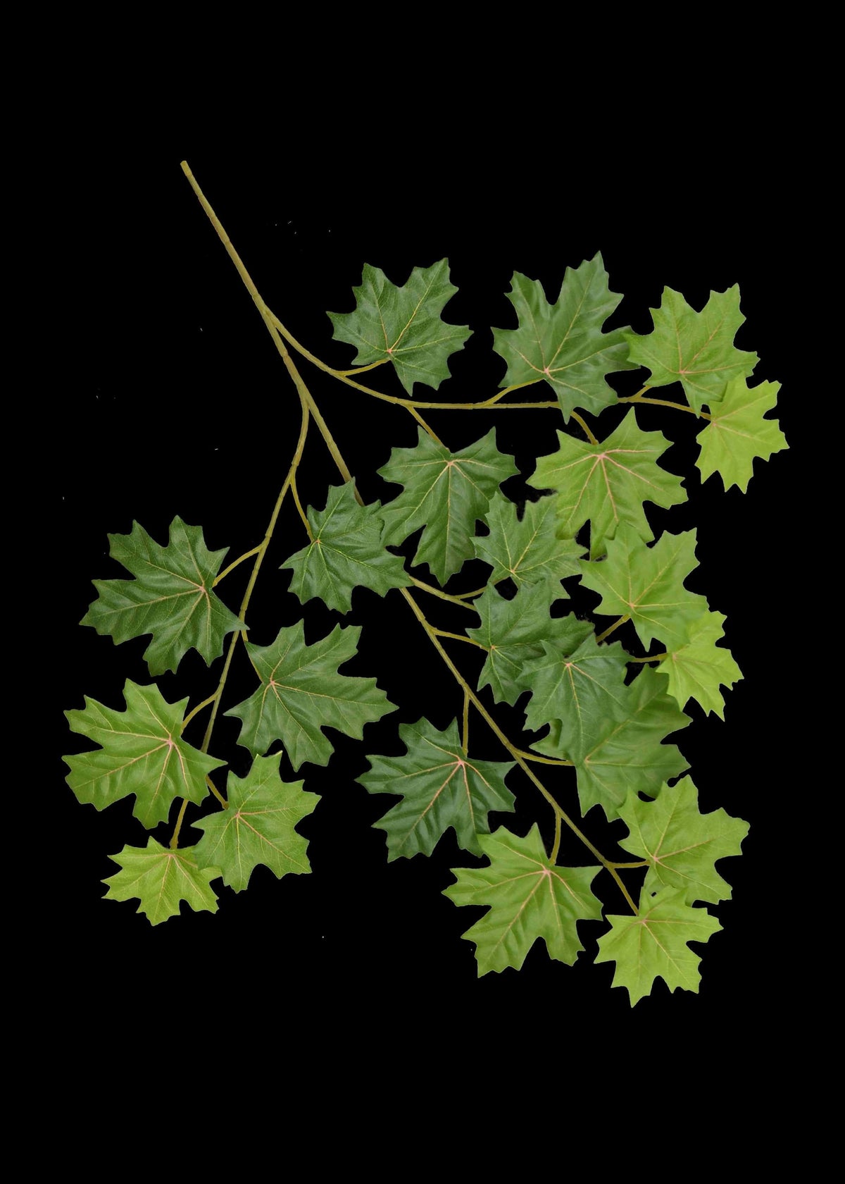 Artificial Maple Branch – 24 Inch Silk Canadian Maple (Set of 12)
