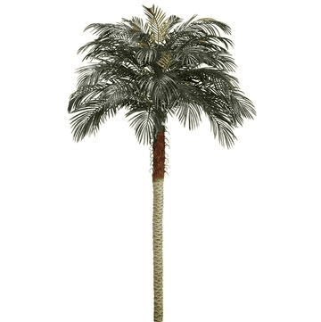 8 Foot Artificial Silk Phoenix Palm Tree for Indoor and Outdoor