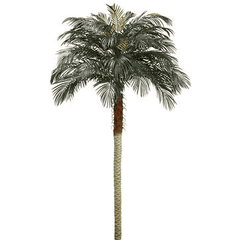 8 Foot Artificial Silk Phoenix Palm Tree for Indoor and Outdoor