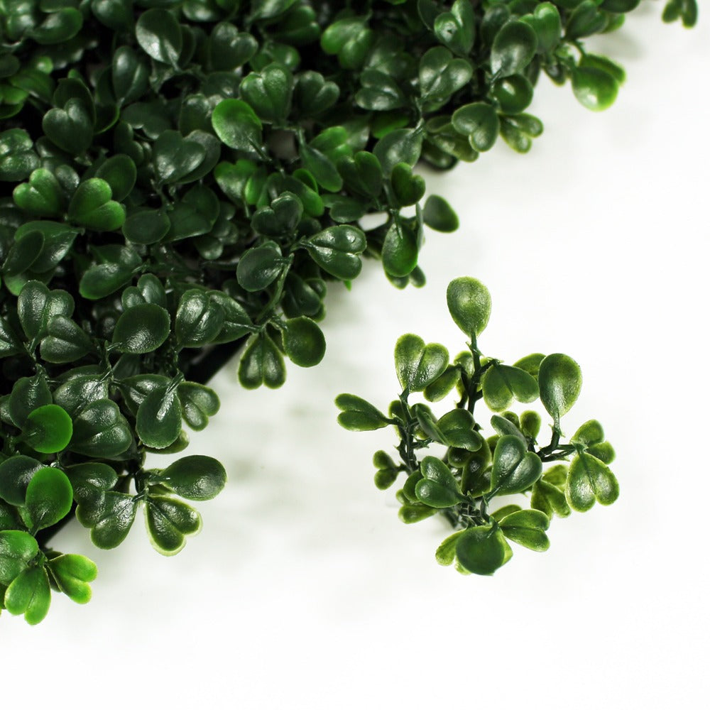 UV Rated Boxwood Mat Close Up of Leaf Silk Plants Canada