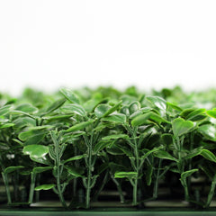 UV Rated Boxwood Bat Side Profile Silk Plants Canada 