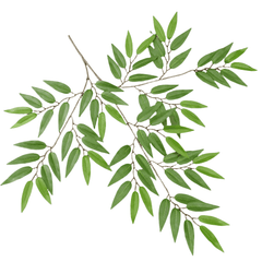 Artificial Smilax Branch for DIY Projects Silk Plants Canada