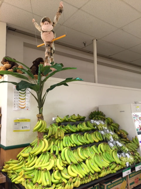 TNT Supermarket with our Artificial Silk Banana Palm Tree