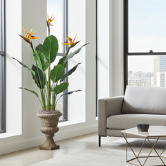 58" Artificial Bird of Paradise Plant adds a Touch of Tropical Vibes in a Contemporary Setting.
