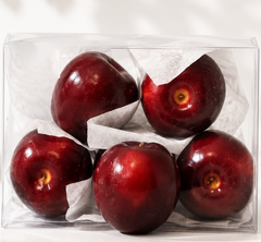 six red apples in a clear plastic container with white tissue paper and 1 apple outside container close up